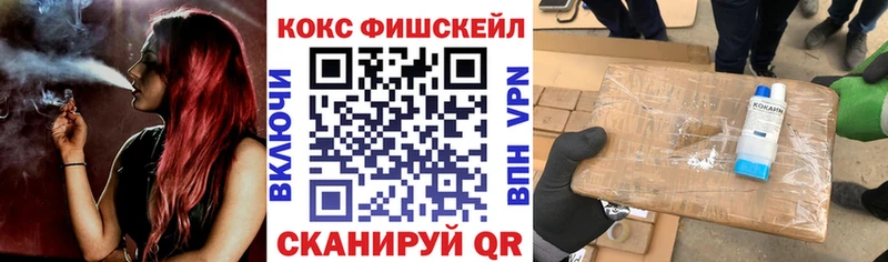 купить наркоту  Петрозаводск  Кокаин Эквадор 