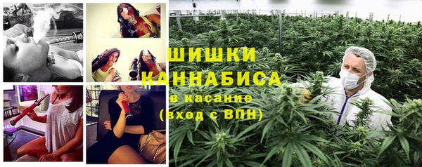 гидра Володарск