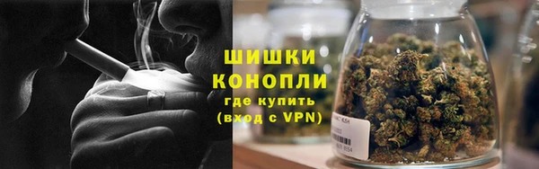 ECSTASY Пересвет