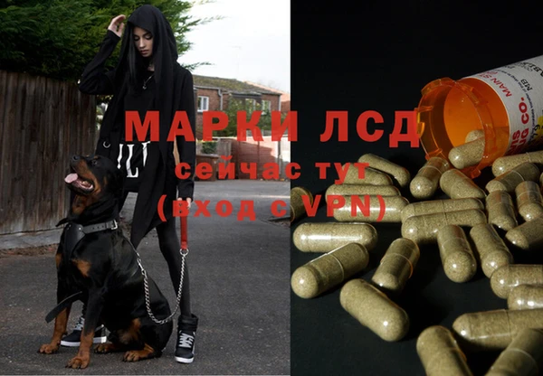 ALPHA-PVP Покачи