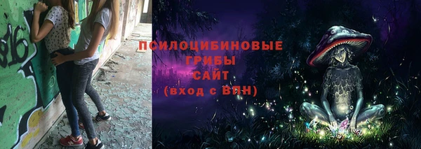 ECSTASY Пересвет
