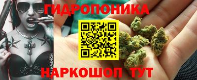 тгк Кинель