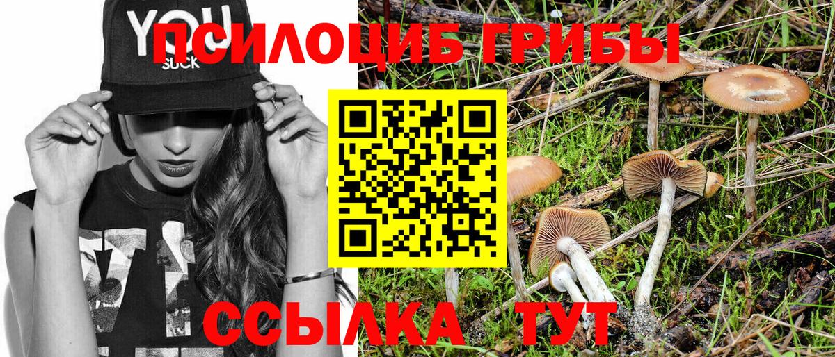 Галлюциногенные грибы GOLDEN TEACHER  Галлюциногенные грибы Psilocybine cubensis  цена   Вход с VPN  Петрозаводск 