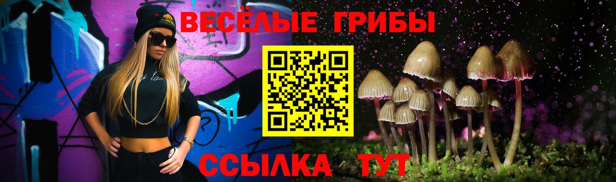Галлюциногенные грибы мухоморы Петрозаводск